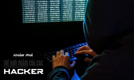 Khám Phá Thế Giới Ngầm Của Các Hacker
