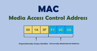 [Cisco Switch] Base Ethernet MAC Address - LEARNS